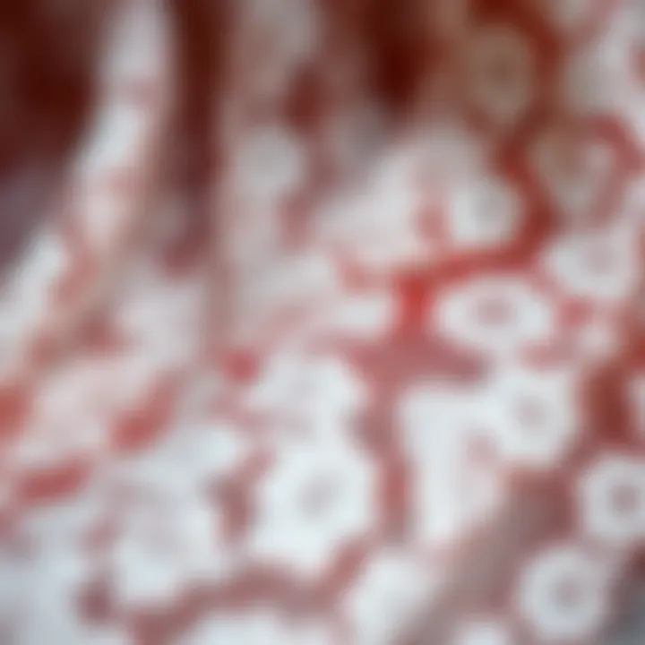 Close-up detail of intricate lace fabric