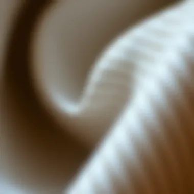 Craftsmanship and Detail of the Fabric Close-up of fabric texture illustrating craftsmanship and detail