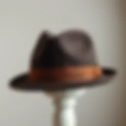 Classic fedora hat displayed elegantly