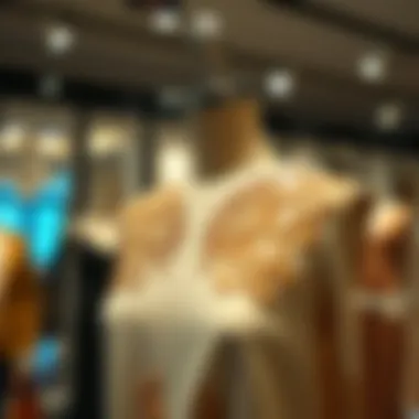 Elegant Ferace Showcase Elegant ferace displayed on a mannequin showcasing intricate details