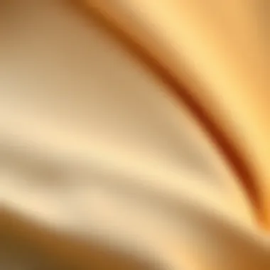 Quality Fabric Texture of Ferace Close-up of fabric texture used in high-quality ferace, showcasing craftsmanship