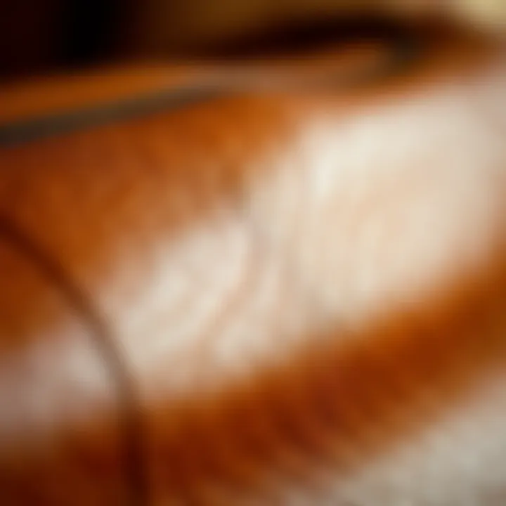 Close-up of high-quality brown leather texture