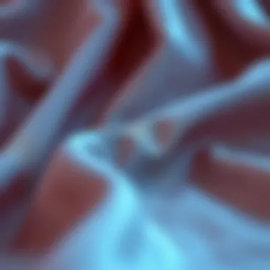 Fabric Choices for Closed Attire Diverse fabric selections for closed attire