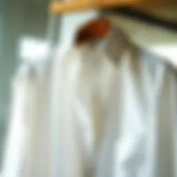 Elegantly styled classic women's shirt on a hanger