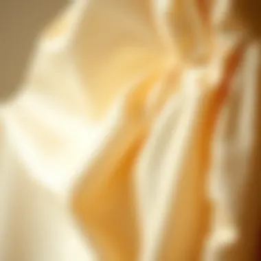 A close-up of sustainable fabrics used in modern evening dresses.