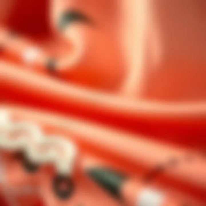 Close-up of fabric textures used in LC Waikiki tunics