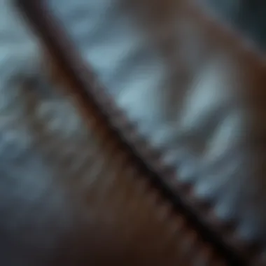 Close-up of leather texture and stitching