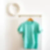 Luxurious mint t-shirt displayed against a minimalist backdrop