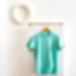 Luxurious mint t-shirt displayed against a minimalist backdrop
