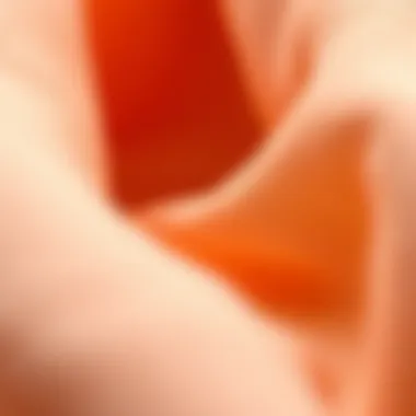 Close-up of fabric textures showcasing quality