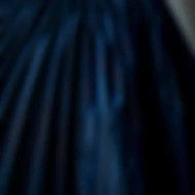 Intricate Pleating and Fabric Texture Close-up of fabric texture showcasing the intricate pleating of the skirt.