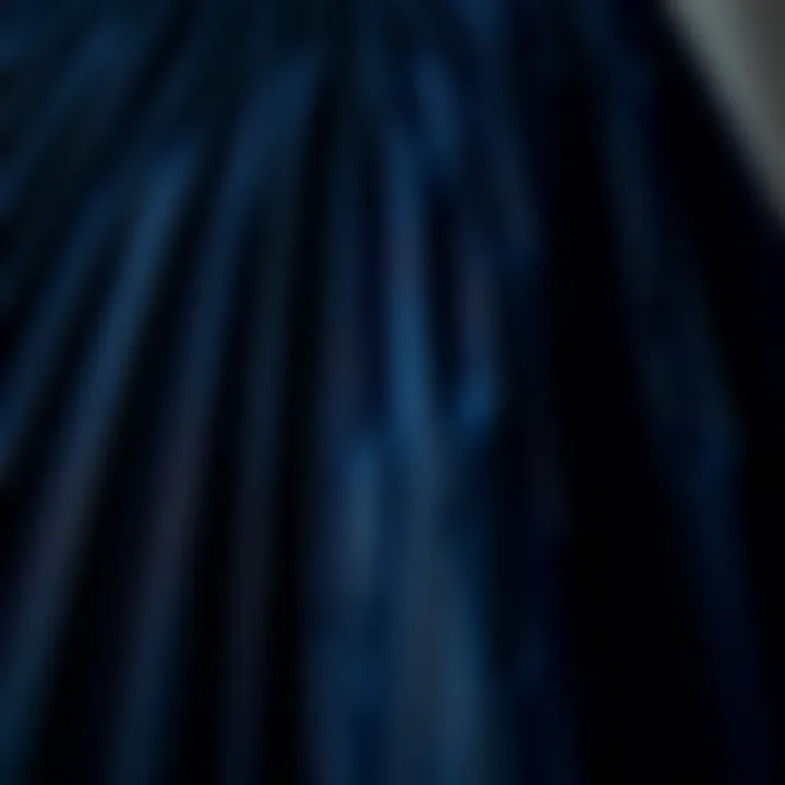 Intricate Pleating and Fabric Texture Close-up of fabric texture showcasing the intricate pleating of the skirt.