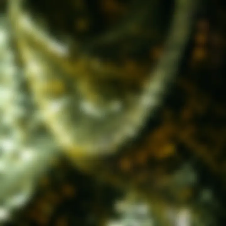 Close-up of sequin fabric texture and care tips