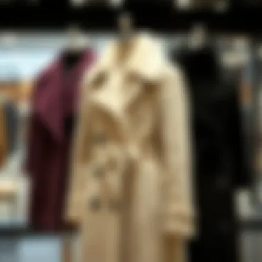 Elegant Winter Coats by Pierre Cardin Elegant Pierre Cardin winter coat collection displayed on a mannequin