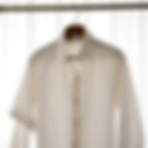Elegant poplin shirt displayed on a hanger