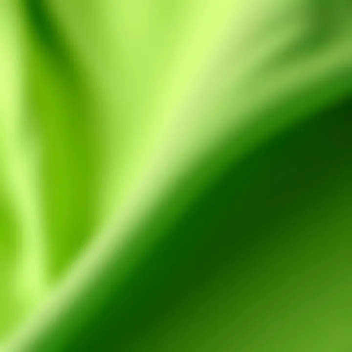 Poplin Fabric Texture Close-up of poplin fabric texture