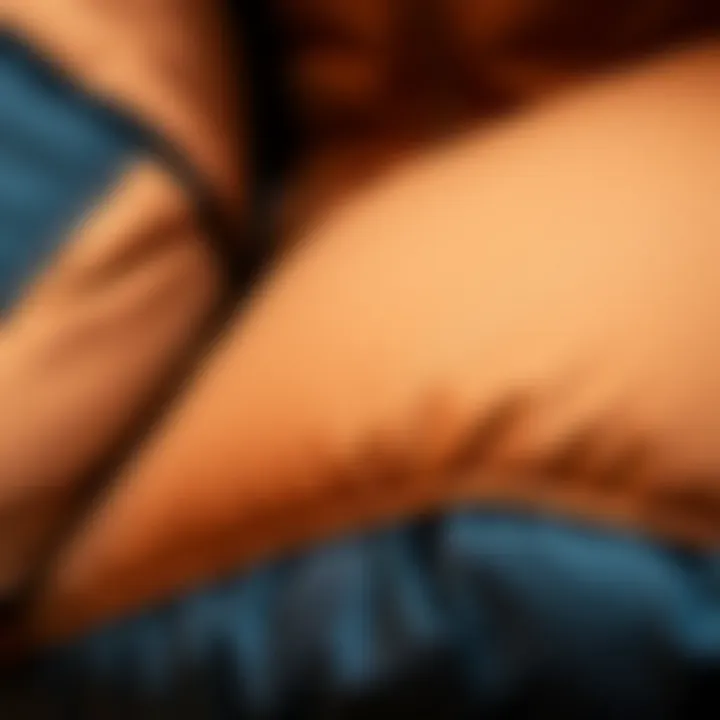 Quality Materials in Puffer Jackets Close-up of quality materials used in puffer jackets