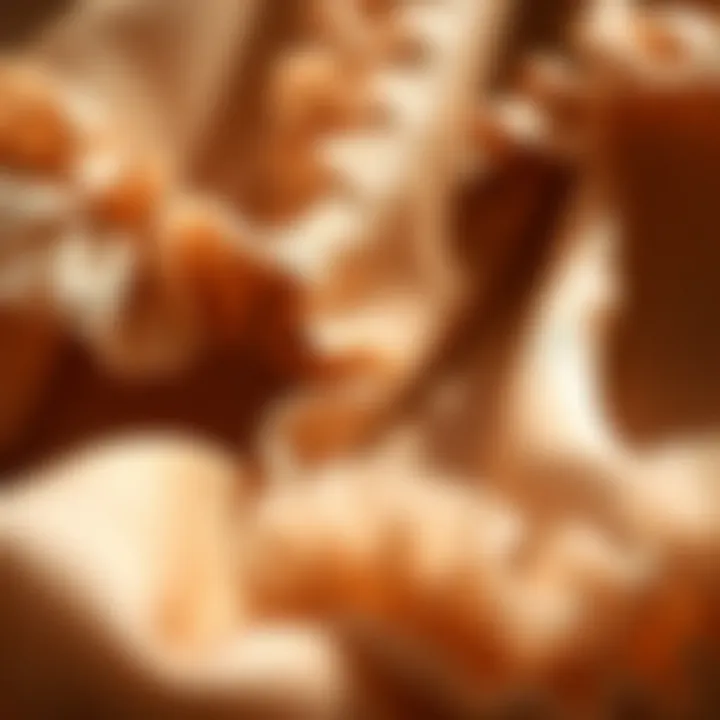 Fashionable ruffled dress fabrics and their uses