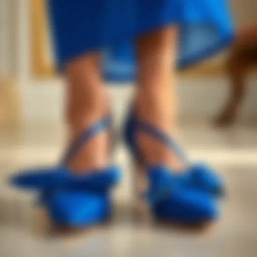 Elegant pair of shoes suitable for royal blue dress