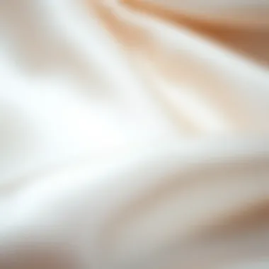 The Luxurious Texture of Satin Close-up of satin fabric texture with delicate shine