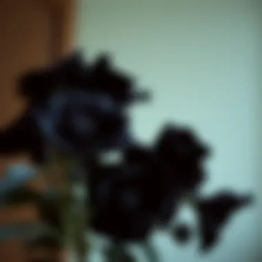 A symbolic representation of black flowers with cultural elements