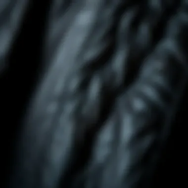 Detailed Texture of Black Leather Close-up detail of the texture of a black leather dress