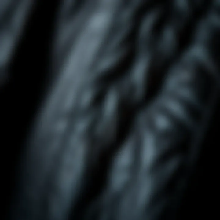 Detailed Texture of Black Leather Close-up detail of the texture of a black leather dress