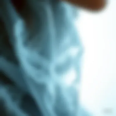 Intricate Tulle Patterns Close-up of intricate patterns on a tulle scarf