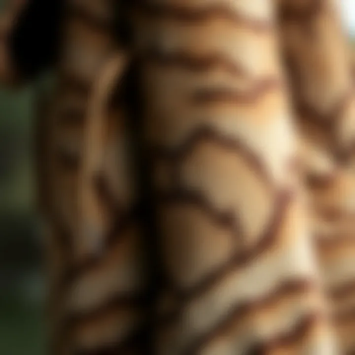 A detailed view of the fabric and texture of a mink trench coat.