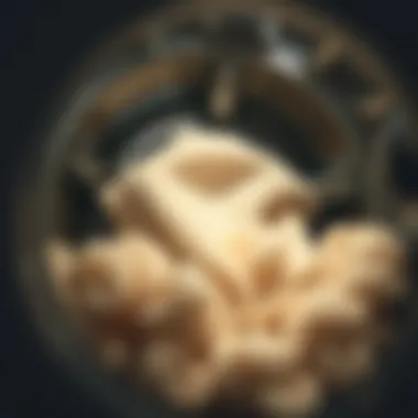 Wool fabric being washed in a washing machine