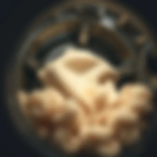 Wool fabric being washed in a washing machine