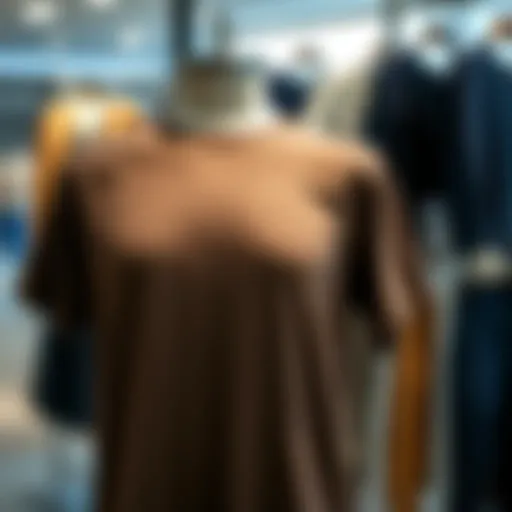 Stylish round-neck t-shirt on a mannequin
